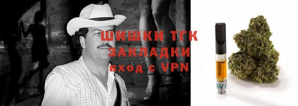 дживик Баксан